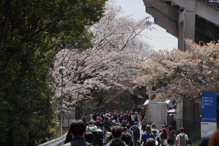 【2026年版】FORMUAL 1 JAPANESE GRAND PRIX 情報