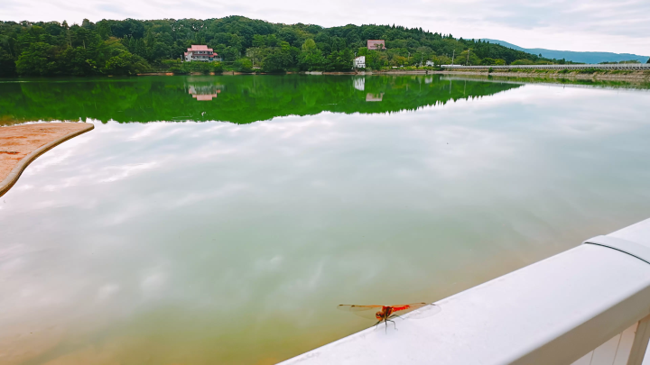 Travel like you're living in a lovely old house in Nanto City, Toyama Prefecture