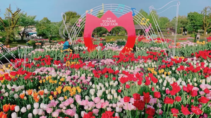 Travel like you're living in a lovely old house in Nanto City, Toyama Prefecture