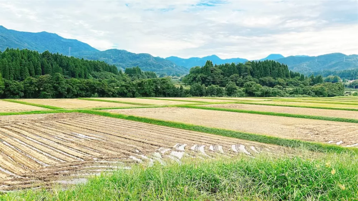 Travel like you're living in a lovely old house in Nanto City, Toyama Prefecture
