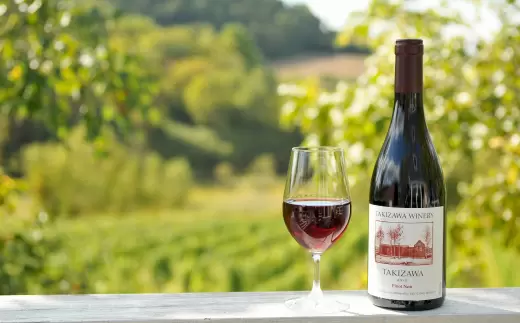 札幌から日帰り可能！2026年夏は三笠の「北海盆おどり」へ出かけよう