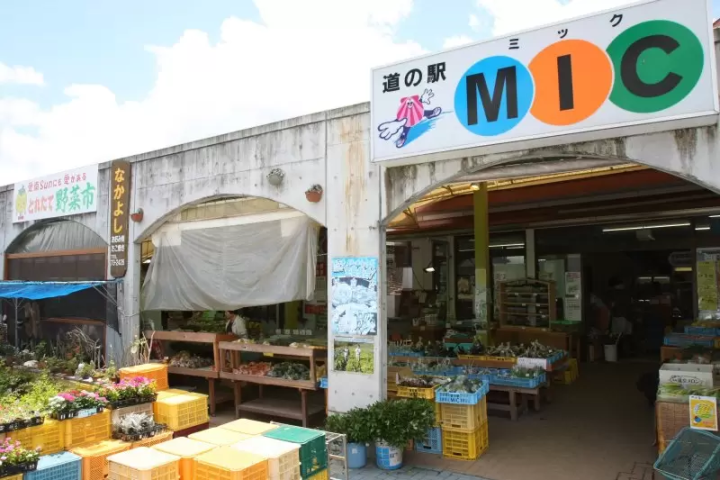 [Roadside Station/Direct Sales Store] If you want to buy the "seasonal flavors" of Ainan Town, this is the place! [Aim for the morning]