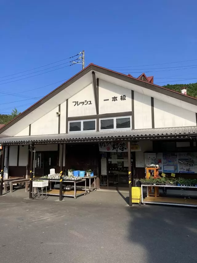 [Roadside Station/Direct Sales Store] If you want to buy the "seasonal flavors" of Ainan Town, this is the place! [Aim for the morning]