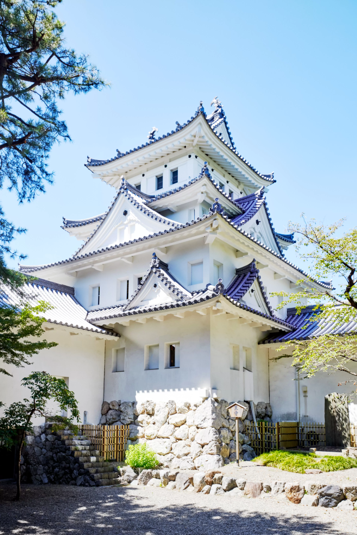 [Japan's only! Tarai-bune experience on the river] Relax and enjoy a tub-shaped boat ride in Ogaki, the city of water