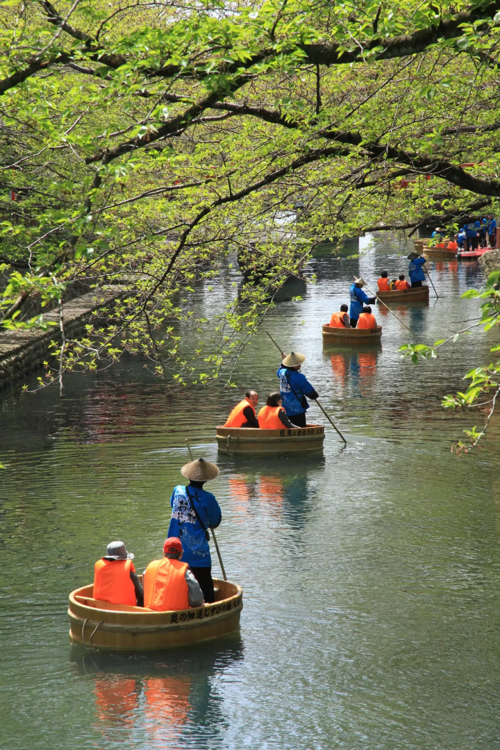 [Japan's only! Tarai-bune experience on the river] Relax and enjoy a tub-shaped boat ride in Ogaki, the city of water
