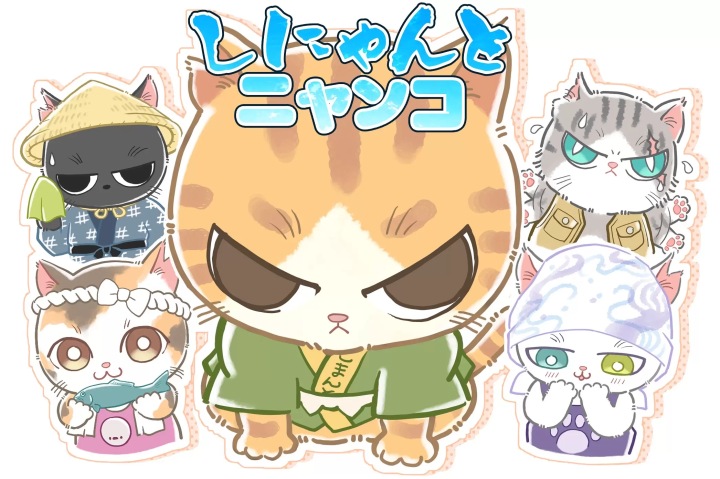 [Kochi Prefecture, Shimanto City] New friends have joined us! Their names are "Shinyanto and Nyanko"