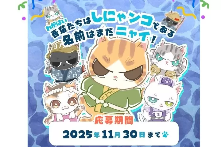 [Kochi Prefecture, Shimanto City] New friends have joined us! Their names are "Shinyanto and Nyanko"