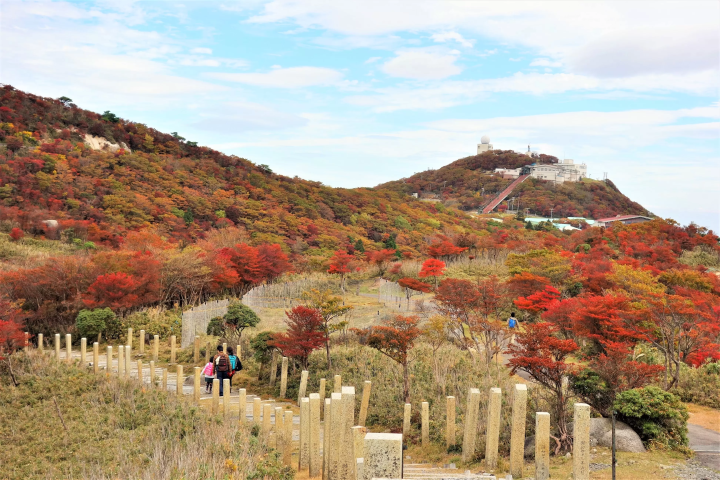 Gozaisho Ropeway: Best Autumn Foliage Spot Near Nagoya & Osaka