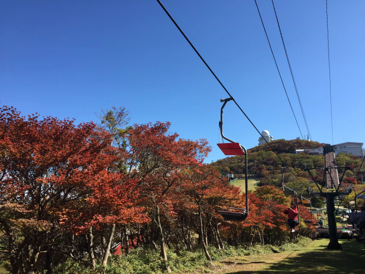 Gozaisho Ropeway: Best Autumn Foliage Spot Near Nagoya & Osaka