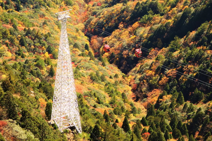 Gozaisho Ropeway: Best Autumn Foliage Spot Near Nagoya & Osaka
