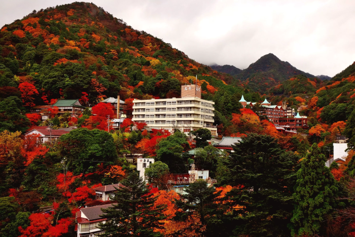 Gozaisho Ropeway: Best Autumn Foliage Spot Near Nagoya & Osaka