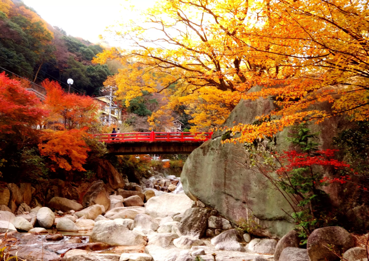Gozaisho Ropeway: Best Autumn Foliage Spot Near Nagoya & Osaka