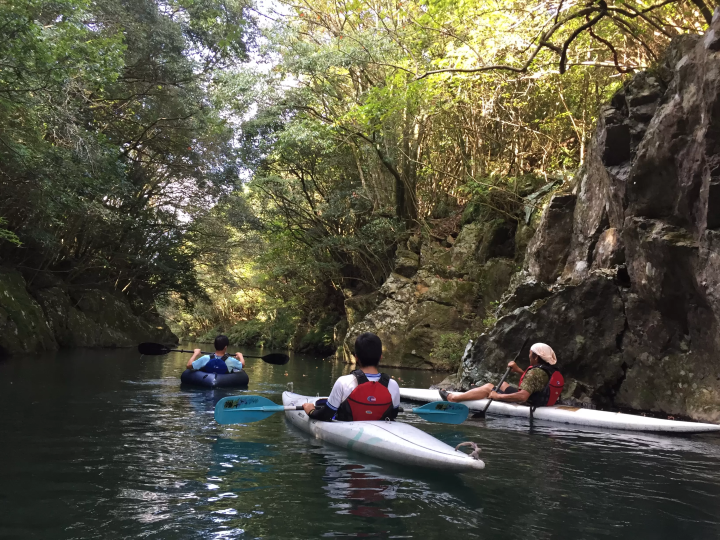 [Stay in Ainan Town, Shikoku] A place where you can meet local Japanese people not found in guidebooks