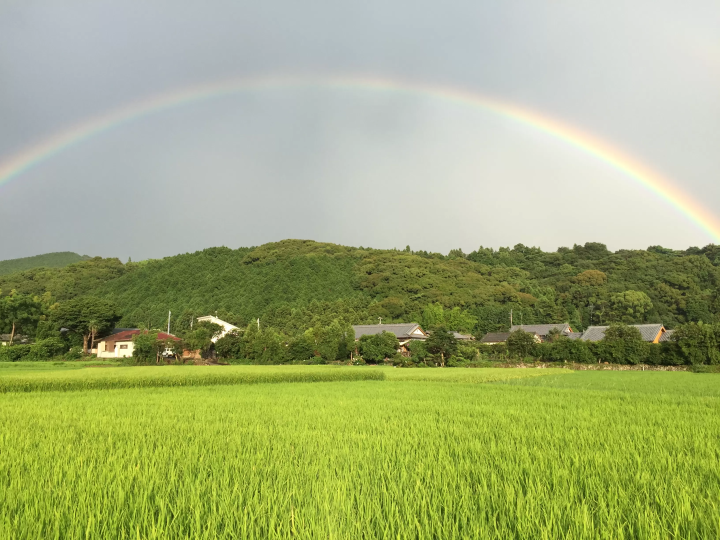 [Stay in Ainan Town, Shikoku] A place where you can meet local Japanese people not found in guidebooks