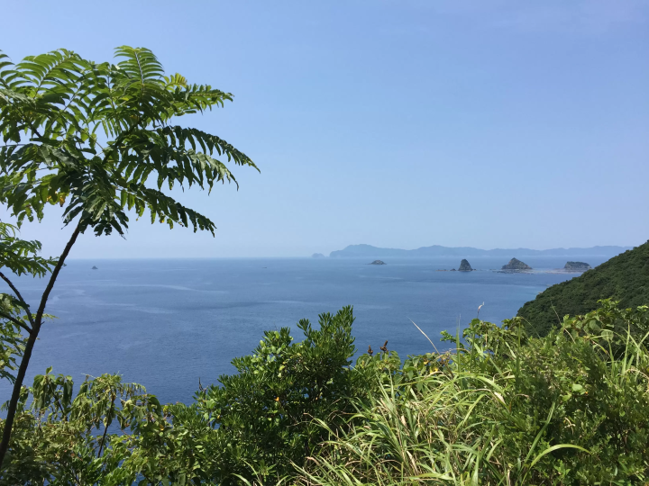 [Stay in Ainan Town, Shikoku] A place where you can meet local Japanese people not found in guidebooks