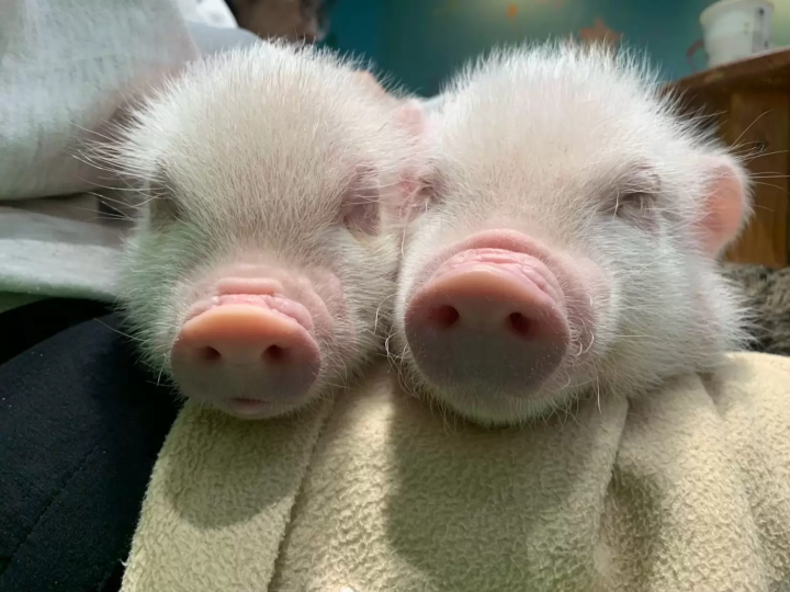 不再只有購物！從最新潮的娛樂設施到家族樂園，AEON MALL全方位攻略，滿足各世代的玩樂需求！