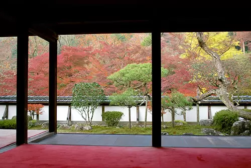 6 Best Autumn Foliage Spots in Nara Accessible by Kintetsu Train from Osaka
