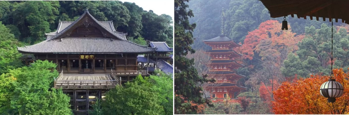 6 Best Autumn Foliage Spots in Nara Accessible by Kintetsu Train from Osaka