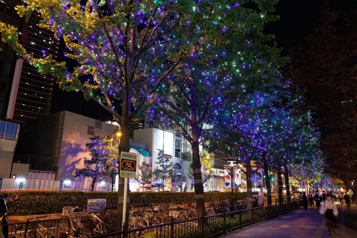 【2025 】大阪・光之饗宴完整攻略｜御堂筋燈飾、新色與中之島光之隧道