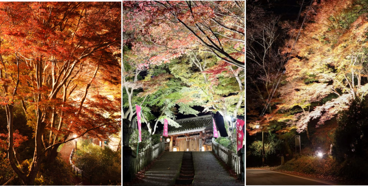 6 Best Autumn Foliage Spots in Nara Accessible by Kintetsu Train from Osaka