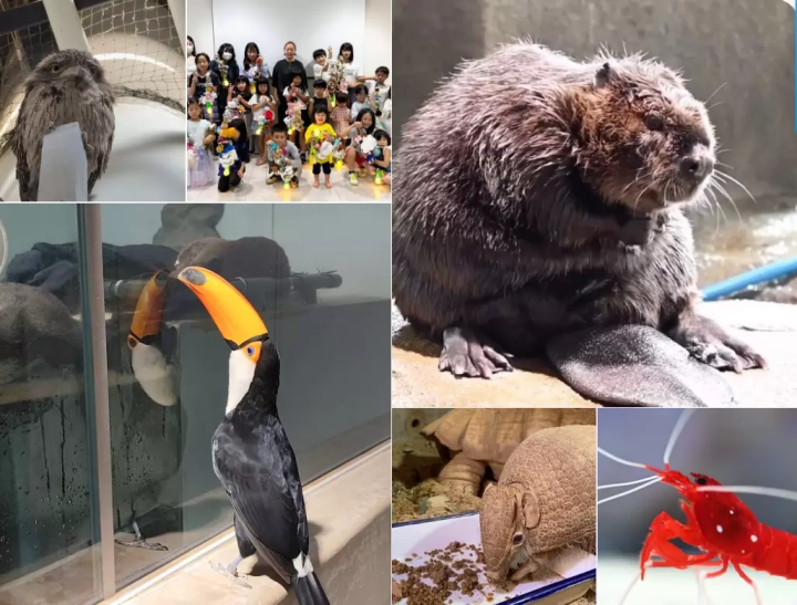 [2025 Latest] NIFREL, the new standard museum for tourism in Osaka and Kansai