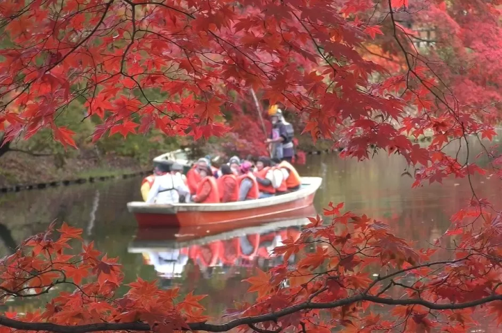 Hirosaki Castle Chrysanthemum and Autumn Foliage Festival 