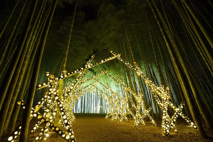 Hirosaki Castle Chrysanthemum and Autumn Foliage Festival 