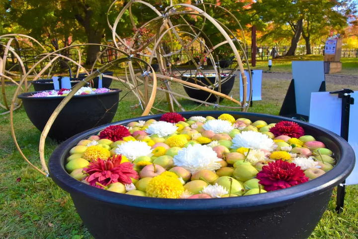Hirosaki Castle Chrysanthemum and Autumn Foliage Festival 