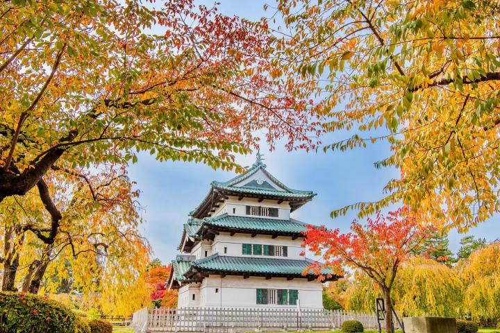 Hirosaki Castle Chrysanthemum and Autumn Foliage Festival 