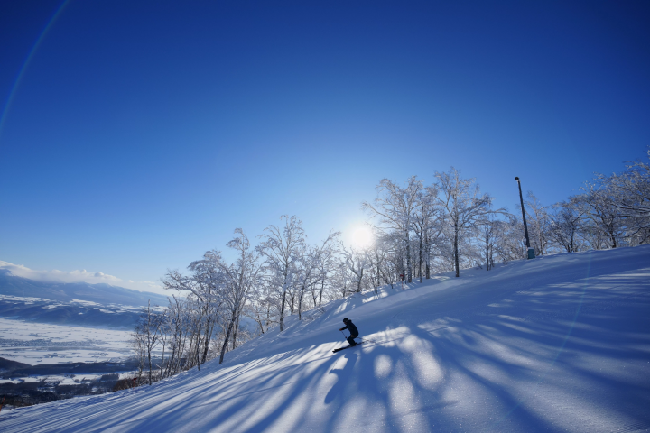 与奥运选手一起滑雪、共进晚餐！北海道木村公信2日滑雪课程