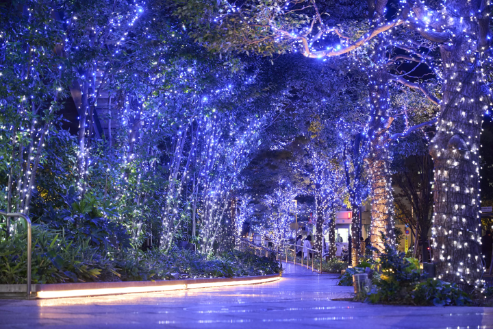 Christmas at Tokyo Skytree