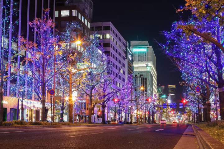 [2025] Osaka's must-see Christmas illuminations and markets