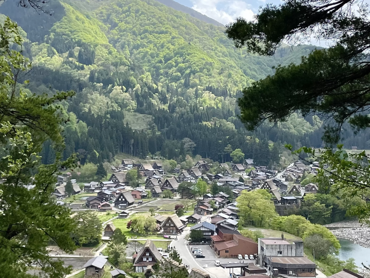 Top Beautiful & Photogenic Views in Japan: Mt. Fuji, Shirakawa-go, Arashiyama Bamboo Forest, and More