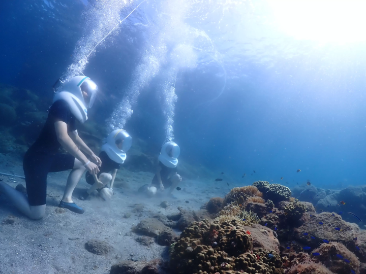 Ehime National Park | Marine Activities. Ainan Town - Nishikai Sightseeing Boat [1/4]