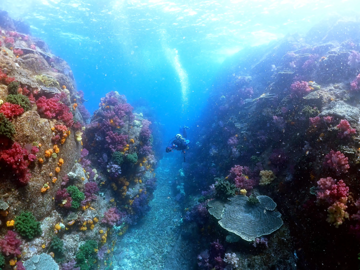 Ehime National Park | Marine Activities. Ainan Town - Nishikai Sightseeing Boat [1/4]