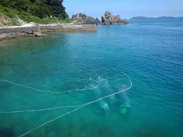 Ehime National Park | Marine Activities. Ainan Town - Nishikai Sightseeing Boat [1/4]