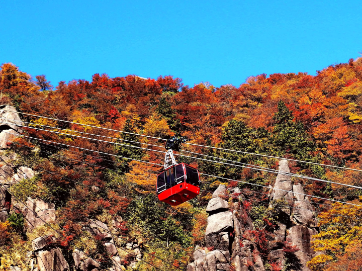 Gozaisho Ropeway: Best Autumn Foliage Spot Near Nagoya & Osaka
