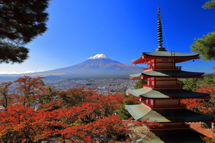 [Yamanashi - Mt. Fuji] Winter fireworks, spectacular views of Mt. Fuji, strawberry picking, and hot springs! Enjoy winter at Lake Kawaguchi!