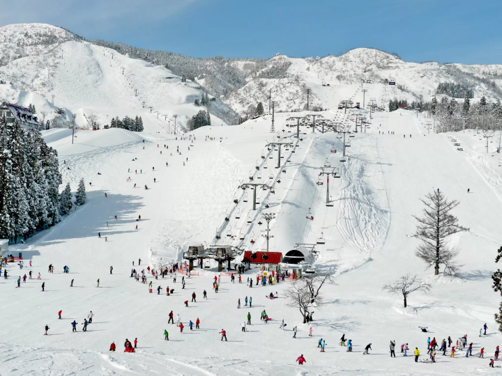 [Niigata] Just a short trip from Tokyo! Enjoy winter on a ski trip to Echigo Yuzawa and learn about four popular ski resorts