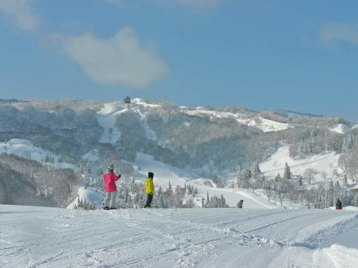 [Niigata] Just a short trip from Tokyo! Enjoy winter on a ski trip to Echigo Yuzawa and learn about four popular ski resorts