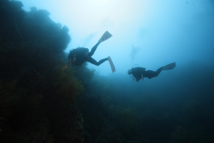 Yokoshima Site No. 2 