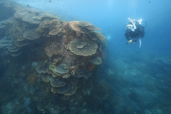 Yokoshima Site No. 2 