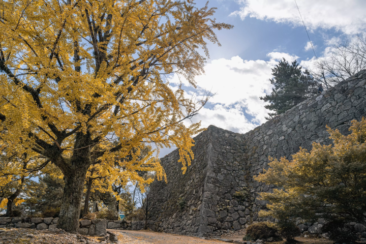 จุดชมใบไม้เปลี่ยนสีใน เมืองมัตสึซากะ จังหวัด จังหวัดมิเอะ : จุดแนะนำสำหรับการชมใบไม้เปลี่ยนสีในเมือง
