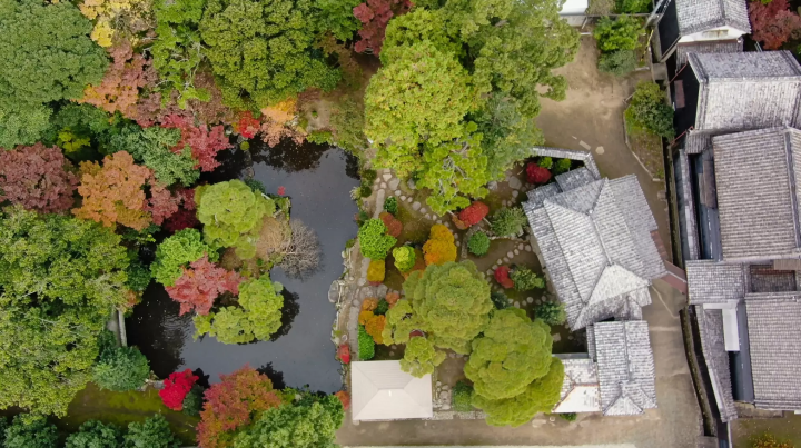 จุดชมใบไม้เปลี่ยนสีใน เมืองมัตสึซากะ จังหวัด จังหวัดมิเอะ : จุดแนะนำสำหรับการชมใบไม้เปลี่ยนสีในเมือง