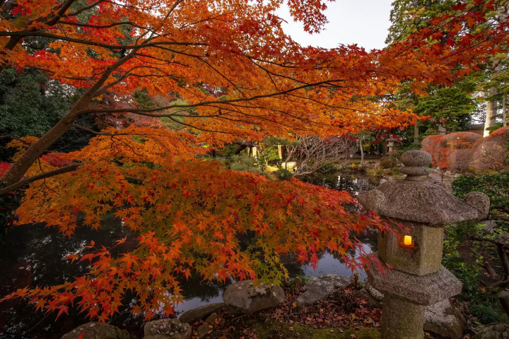 จุดชมใบไม้เปลี่ยนสีใน เมืองมัตสึซากะ จังหวัด จังหวัดมิเอะ : จุดแนะนำสำหรับการชมใบไม้เปลี่ยนสีในเมือง
