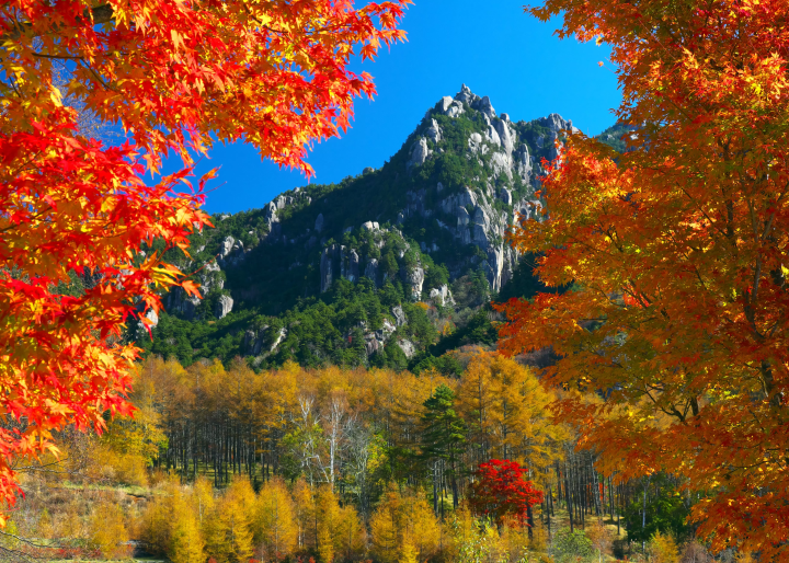 Just 2 hours from Tokyo ! 7 autumn foliage spots in the naturally rich Hokuto City Yamanashi Prefecture !