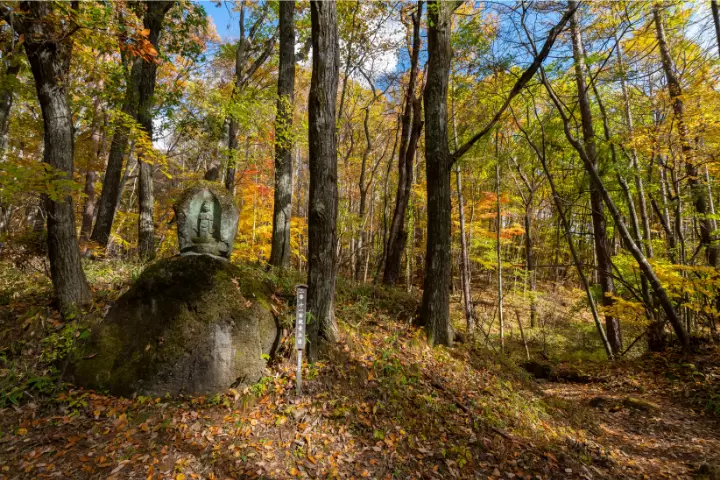 Just 2 hours from Tokyo ! 7 autumn foliage spots in the naturally rich Hokuto City Yamanashi Prefecture !