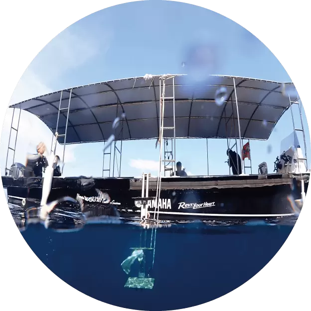 Ehime National Park | Scuba diving trip to the sea. Ainan Town - Nishikai Sightseeing Boat [2/4]