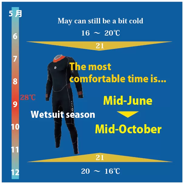 Ehime National Park | Scuba diving trip to the sea. Ainan Town - Nishikai Sightseeing Boat [2/4]