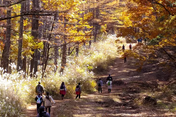 Head to the extraordinary "Horse Town"! Enjoy an active day in Hokuto City